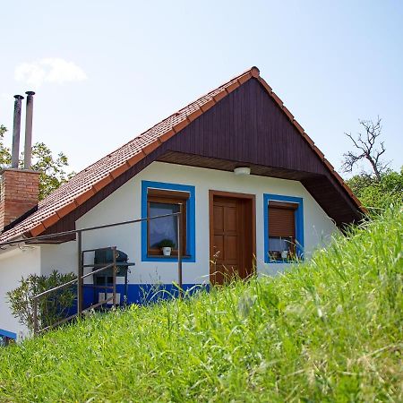 Apartman Na Vinarske Stezce Velké Bílovice Exterior foto