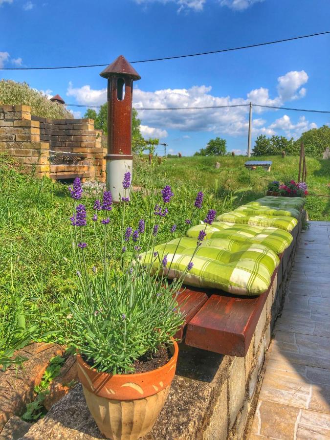 Apartman Na Vinarske Stezce Velké Bílovice Exterior foto