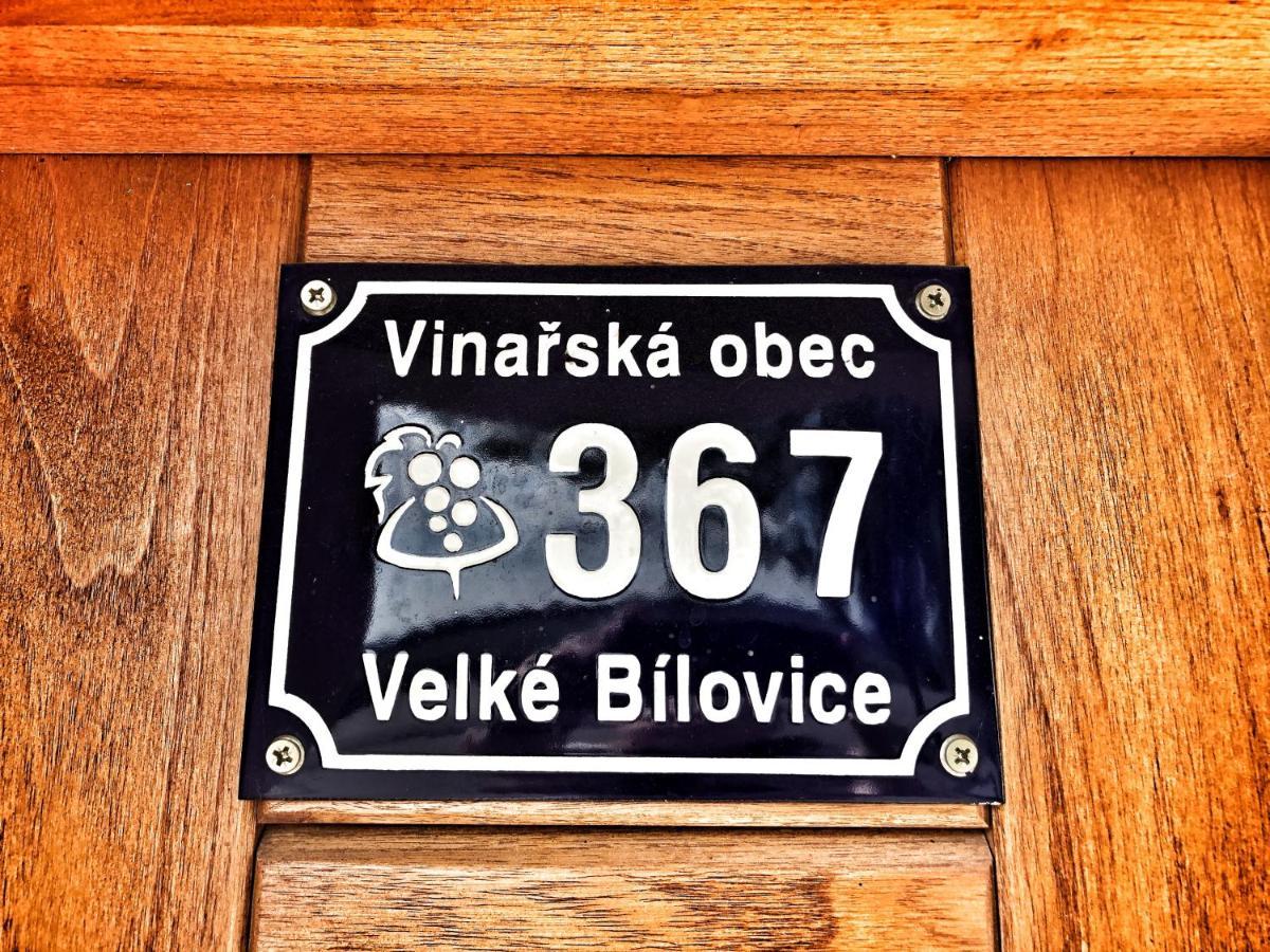 Apartman Na Vinarske Stezce Velké Bílovice Exterior foto